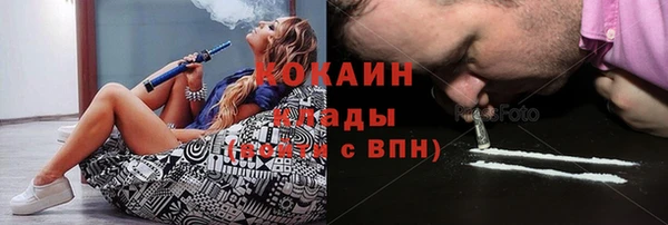 ПСИЛОЦИБИНОВЫЕ ГРИБЫ Заводоуковск