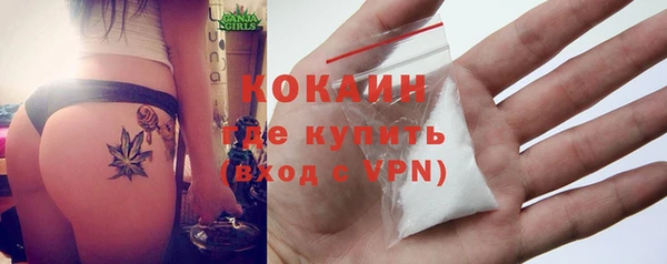 ПСИЛОЦИБИНОВЫЕ ГРИБЫ Заводоуковск