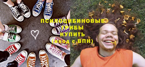 ПСИЛОЦИБИНОВЫЕ ГРИБЫ Заводоуковск