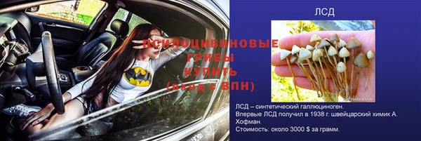 трава Заволжск