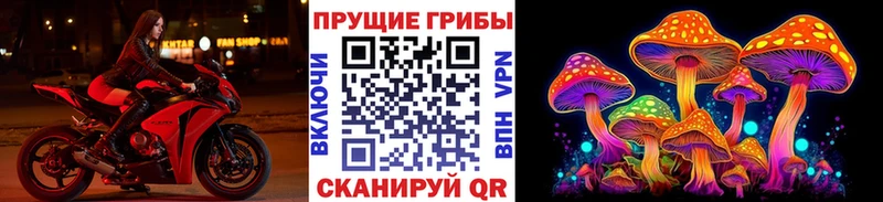 сколько стоит Ивантеевка Псилоцибиновые грибы прущие грибы