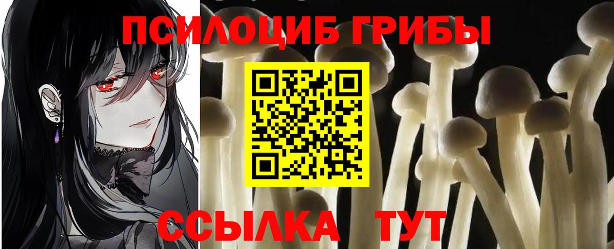 хочу наркоту  Галлюциногенные грибы Psilocybine cubensis  Вход с VPN  Ивантеевка 